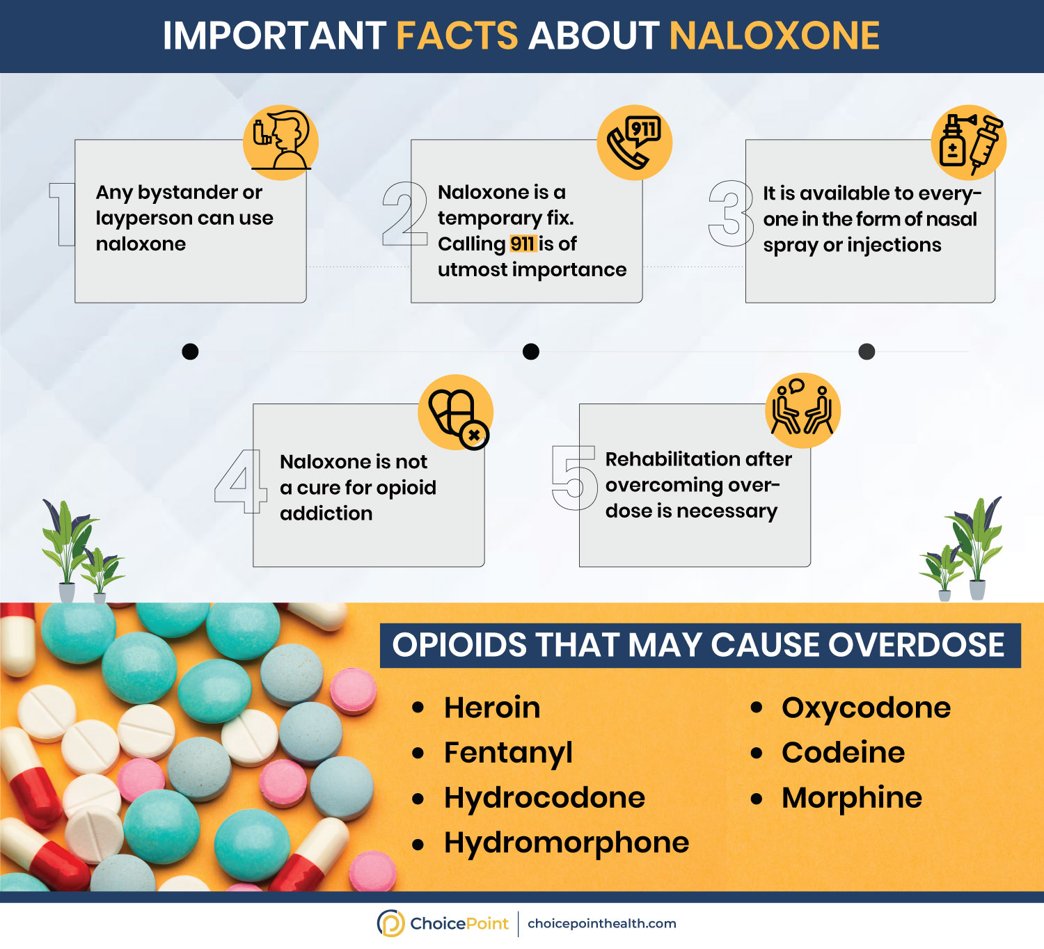 Things to Know About Naloxone 