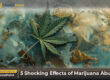 Is Marijuana a Gateway Drug for Opioid Use Disorder