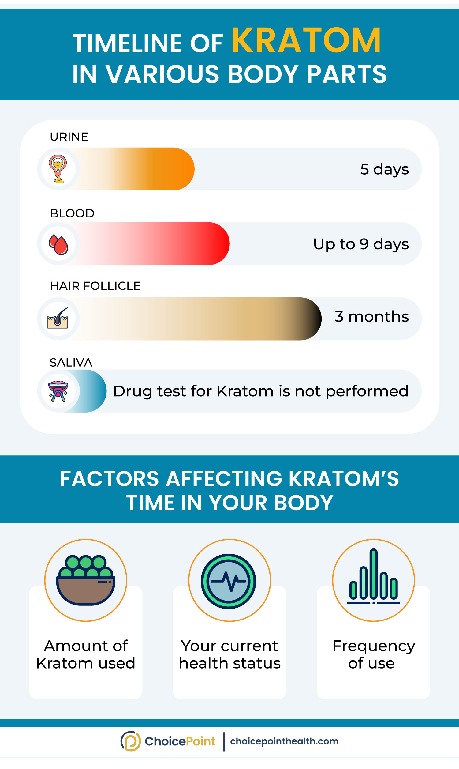 How long is Kratom in system?