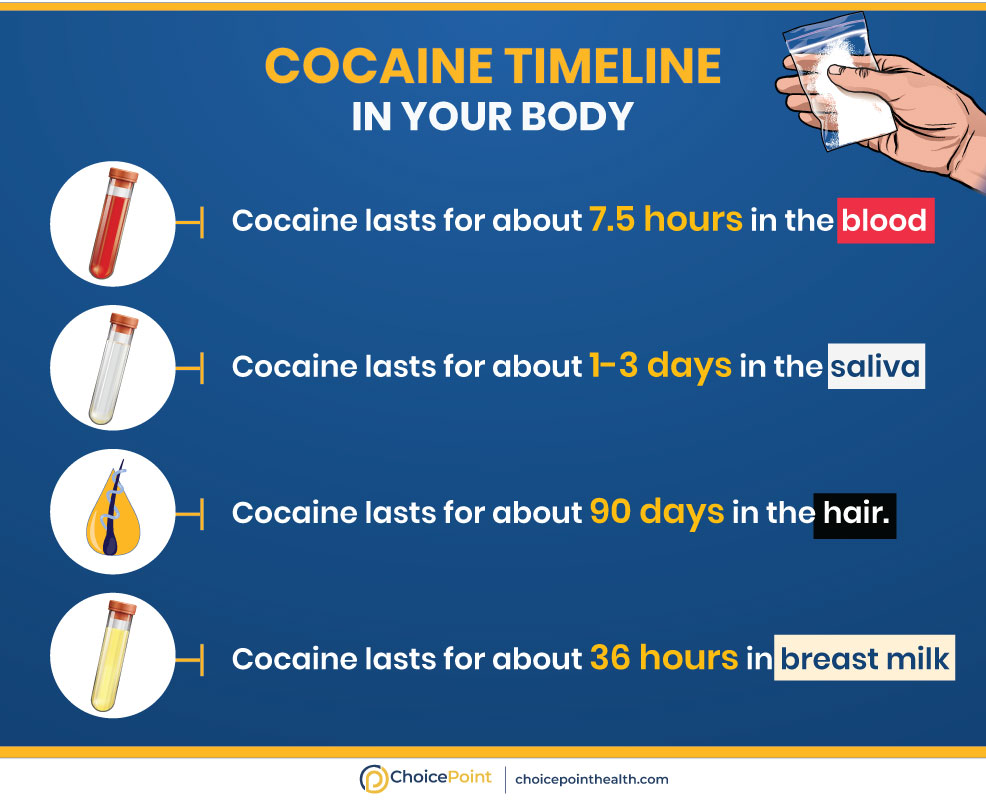 Cocaine in Your System