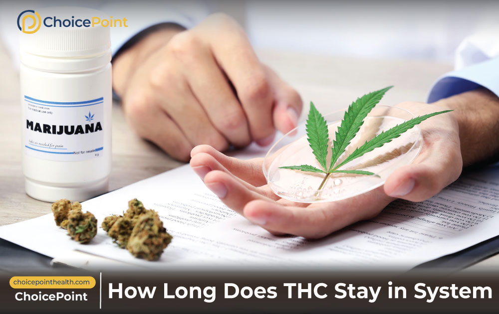How Long Does THC Stay in System What is the maximum time THC stays in your system?